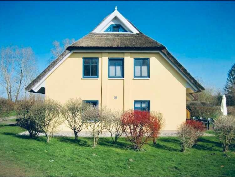 Komfortables Reetdachferienhaus Hasel 1 Puddemin Exteriér fotografie